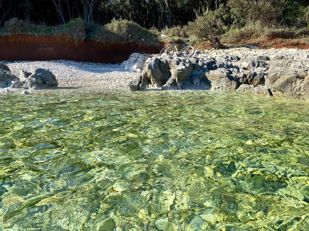 Eni Medulin Heated Pool Villa Šišan