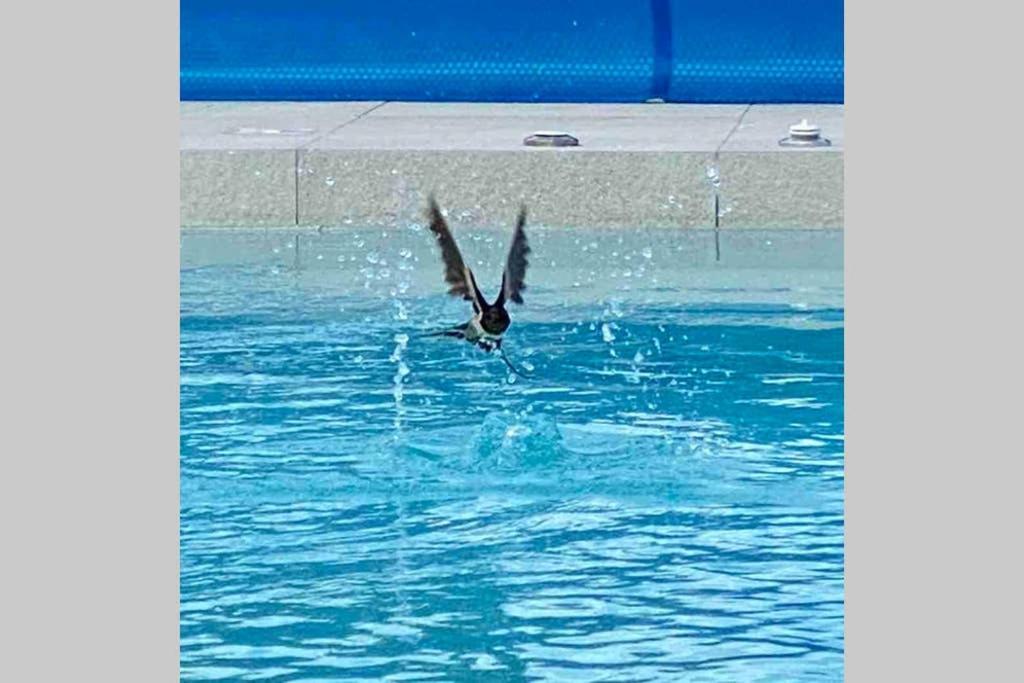 Eni Medulin Heated Pool * Sisan